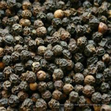 Chinese Black Pepper, Black Pepper Powder